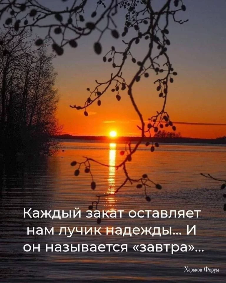 83922caae75676e75fc9e955.webp