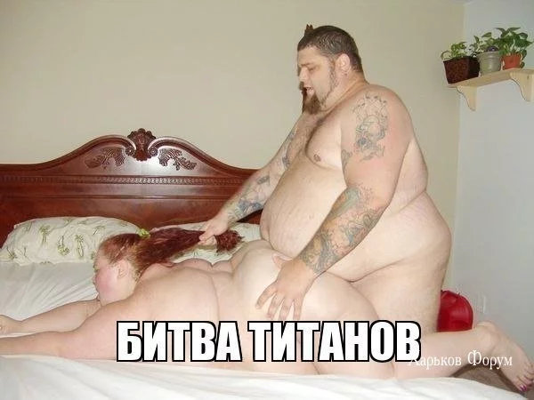 8397daeff3df9ff8.webp