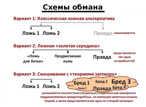 839_original.webp