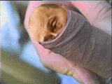 83a2e10a193d36ea7c7b4b0030d9e3cd.gif