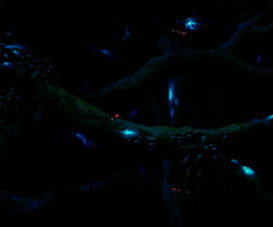83c58173dbd0196c002e88ae9f49bdae5ba3389e.gif