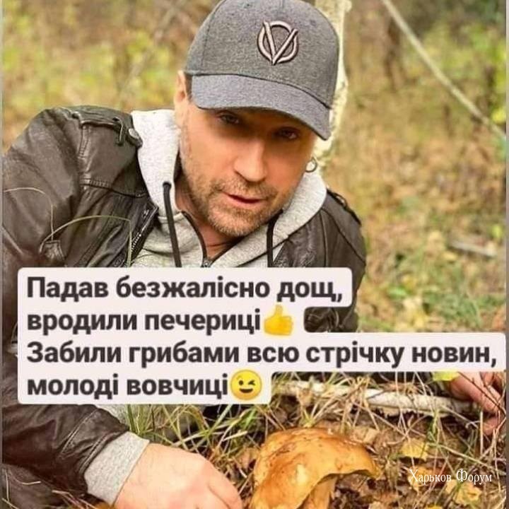 83e0a7c199700e39.jpg