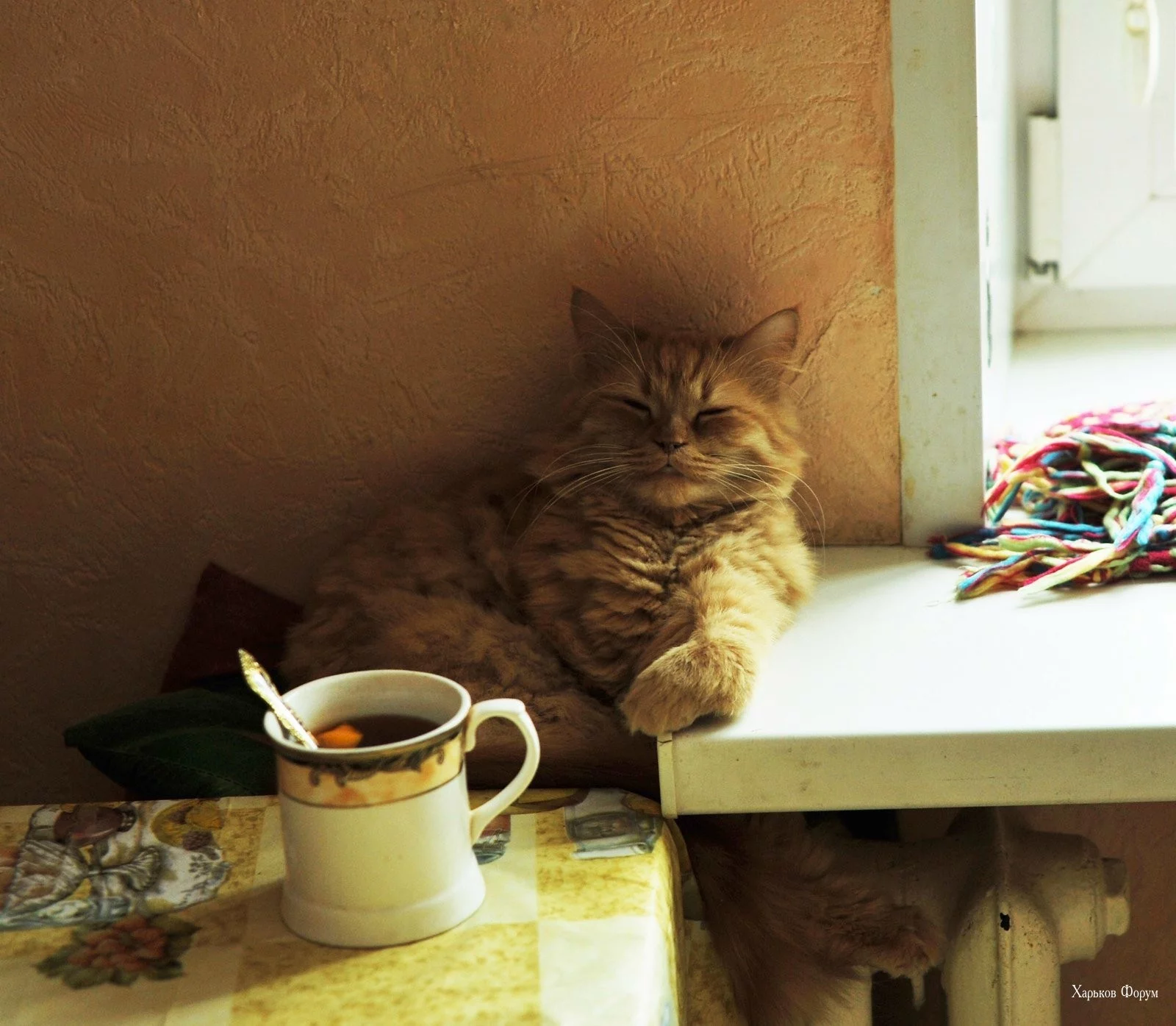 83e819f7acea3882.webp