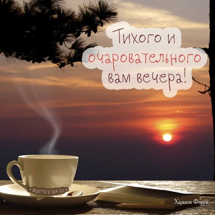 83e821f133d25176e730707.webp
