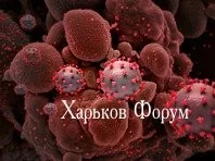 83e8cbe458f188285ad.webp