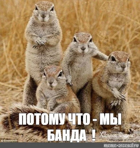 83eb996e59dd39e7.webp