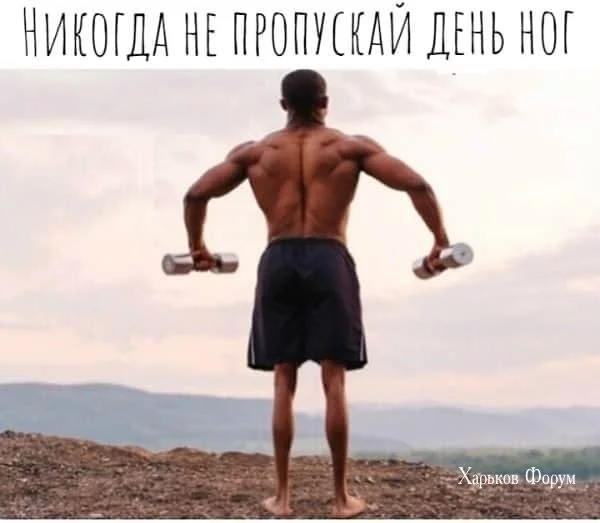 8403d79df08507b071c.webp
