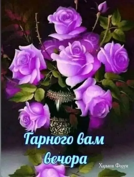 84060b94e6bf0ce11f40.webp