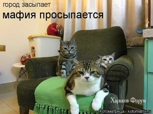 84090cfc024a29249070b.webp