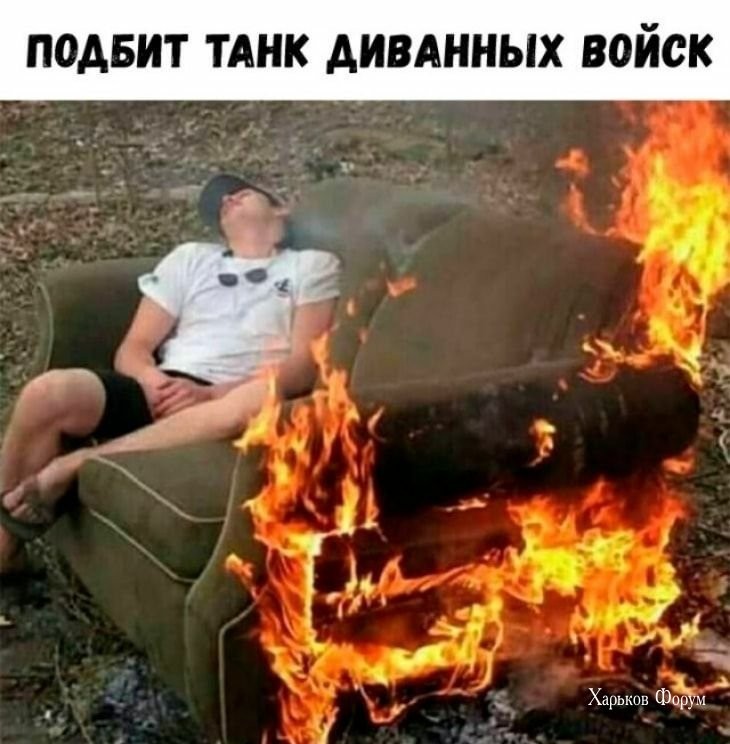 840f059e95b544b45d7e.jpg