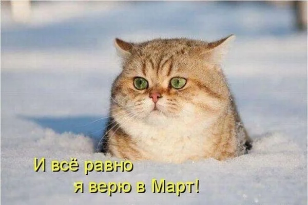 84101518_0547611.webp