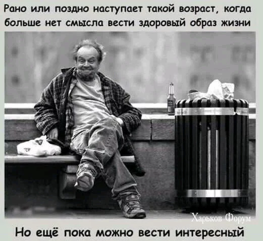 8410a1b82dda128f0.webp