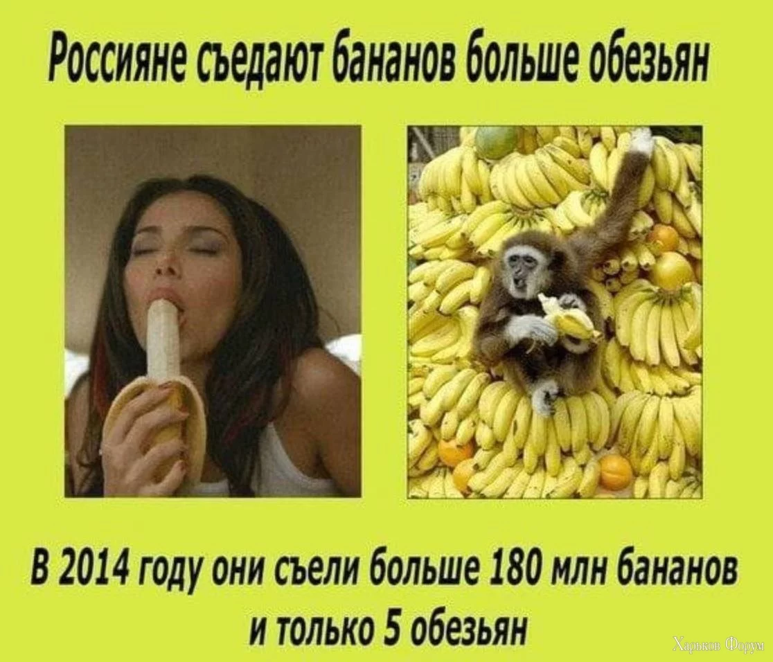 8412206.jpeg
