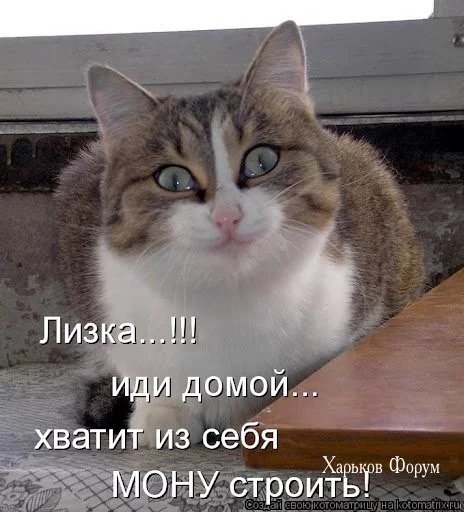 841304f774afcc7532af8.webp