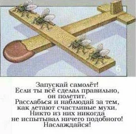 8424206_airplane_7.webp