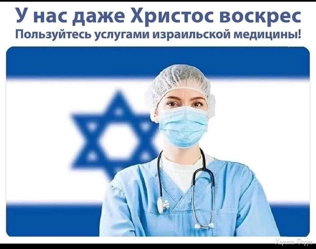 8426952.webp