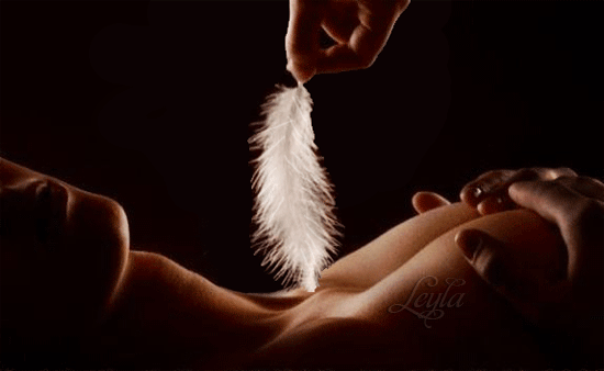 843306_1.gif
