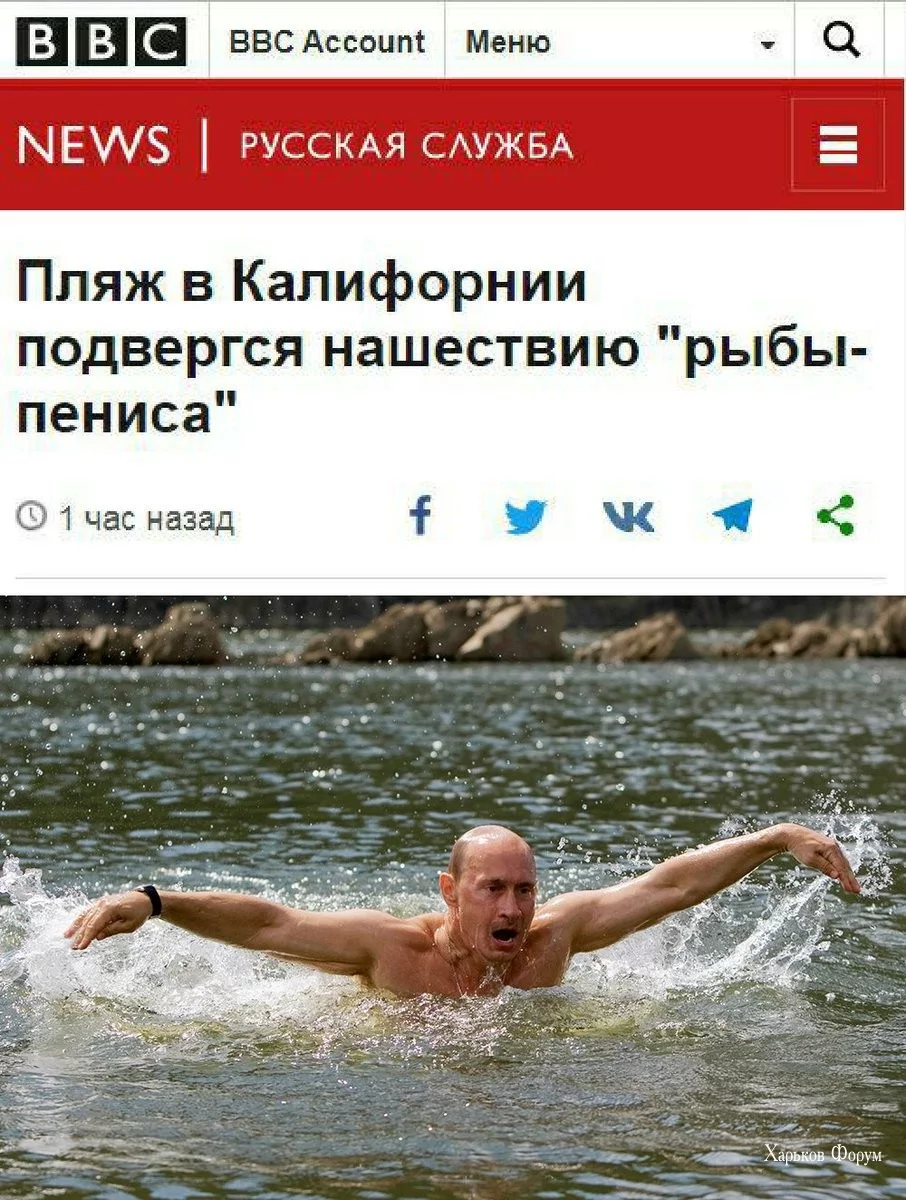 843d7c687c56d28b.webp