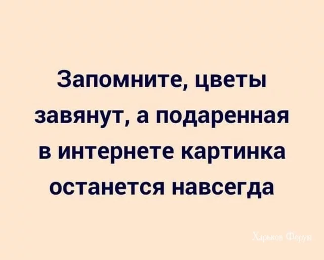 845ccb8202081c7d8768.webp