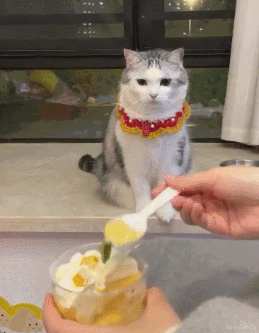 8474611.gif