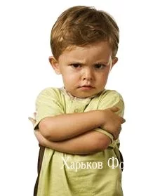 847746d94df49534e.webp
