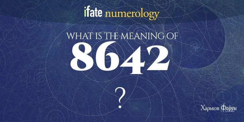 8482eb2e29e0fb77.webp