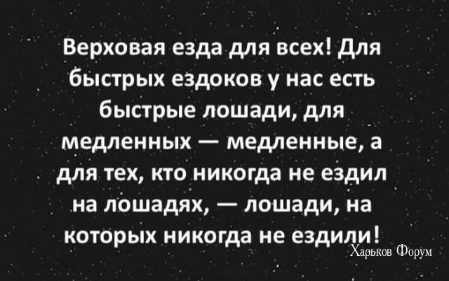84a97eca138fcceb6bf19cf9.jpg