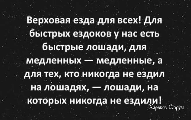 84a97eca138fcceb6bf19cf9.webp