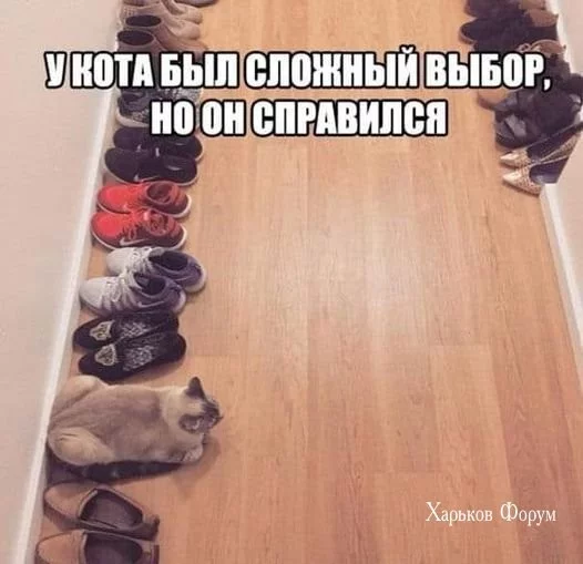 84b0cf20bde2c538dccc.webp