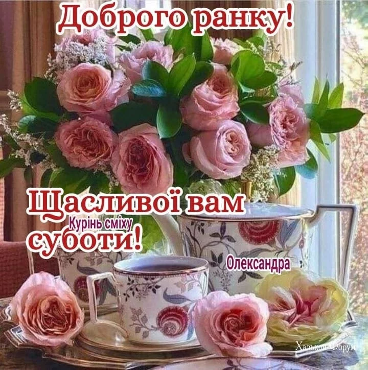 84b40553cde2f6cb5ba9.webp