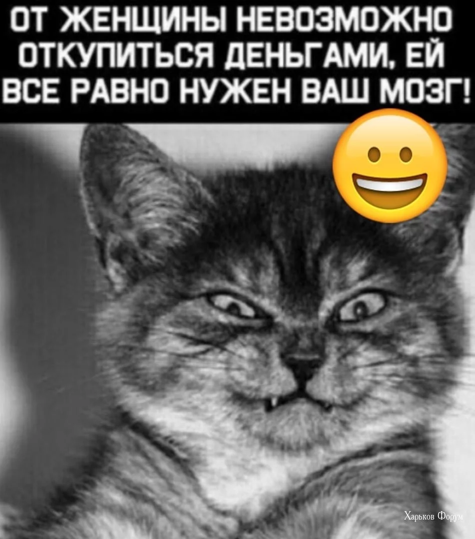 84bbff1d505f93dc507e088.webp