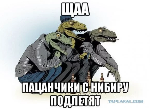 84c6794168755f77c84b534.webp