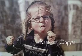 84c957c563fc29a1.webp