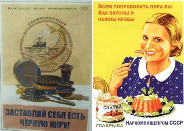 84d861ed588f319bb4349b0.webp