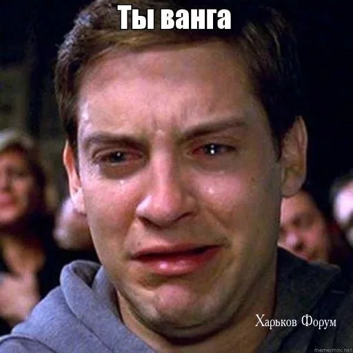 84da5a68b96bb249f.webp