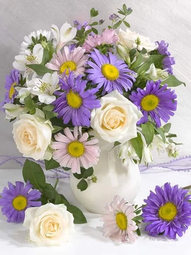 84f89c801e26f91836482a8.webp