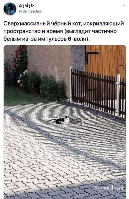 8503127a836a5d69b9dd.jpg