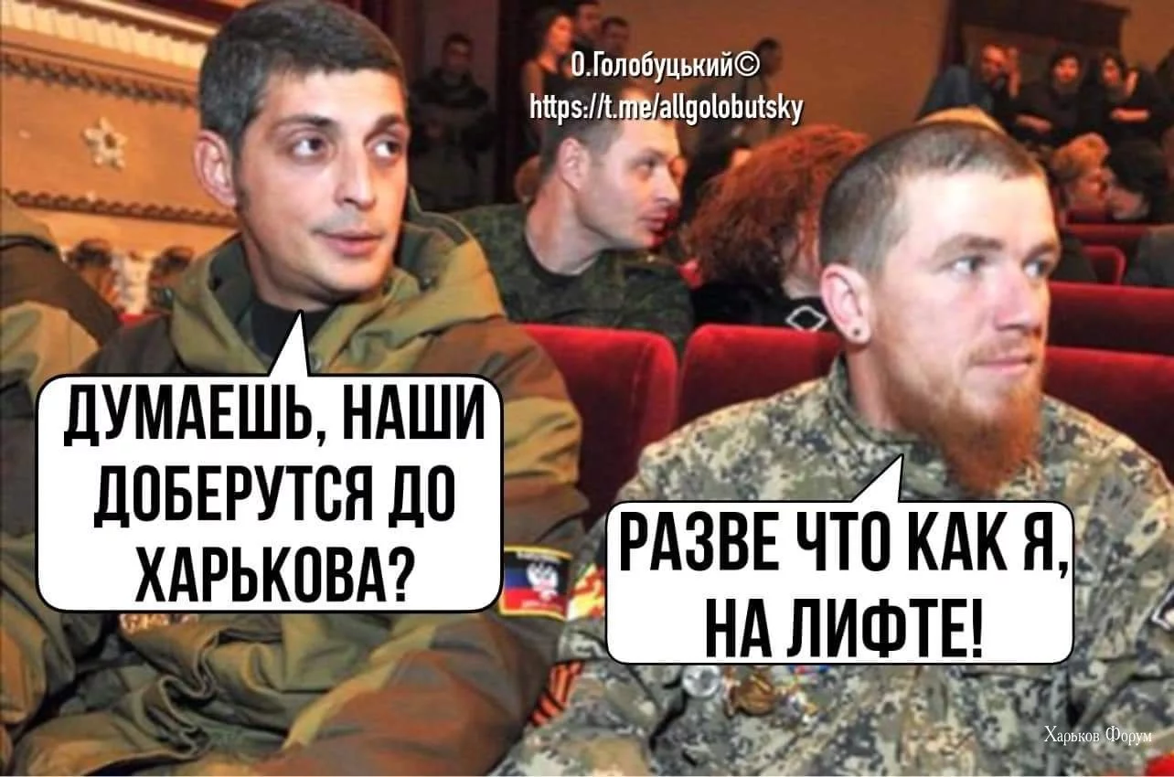 85287f3765bf364550.webp