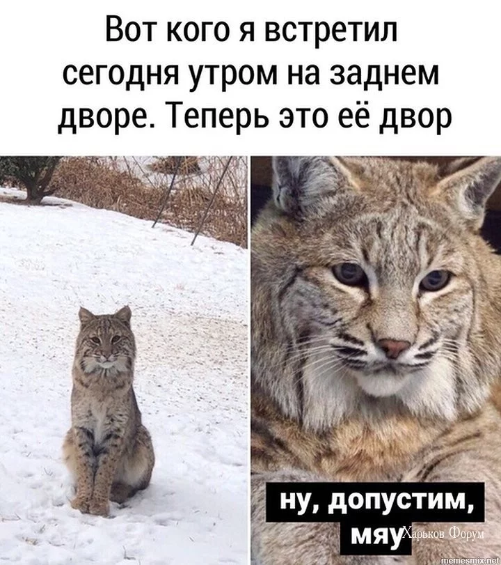 852d70414c847c0db18750c.webp
