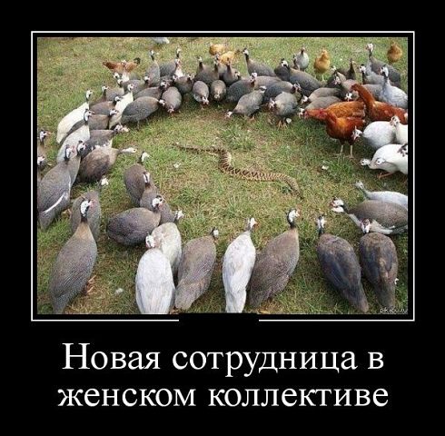 8534249e13109bbe04489982e5a8a60a.jpg