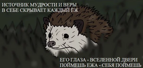 8539046.webp