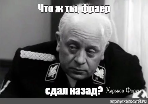 85447300a303285a.webp