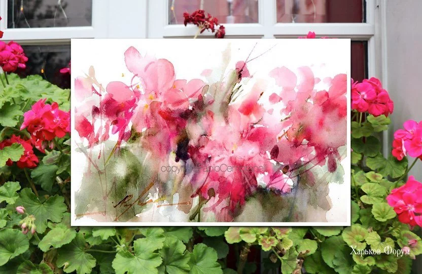 854d6eaedc160b2bfdf9.webp