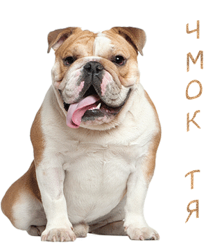 85531119_CHMOK_TYA.gif