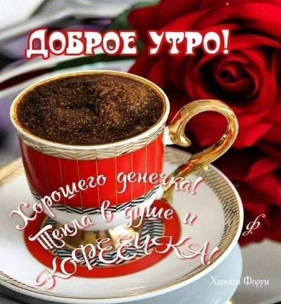 8555c500302e9b6ddbd.jpg