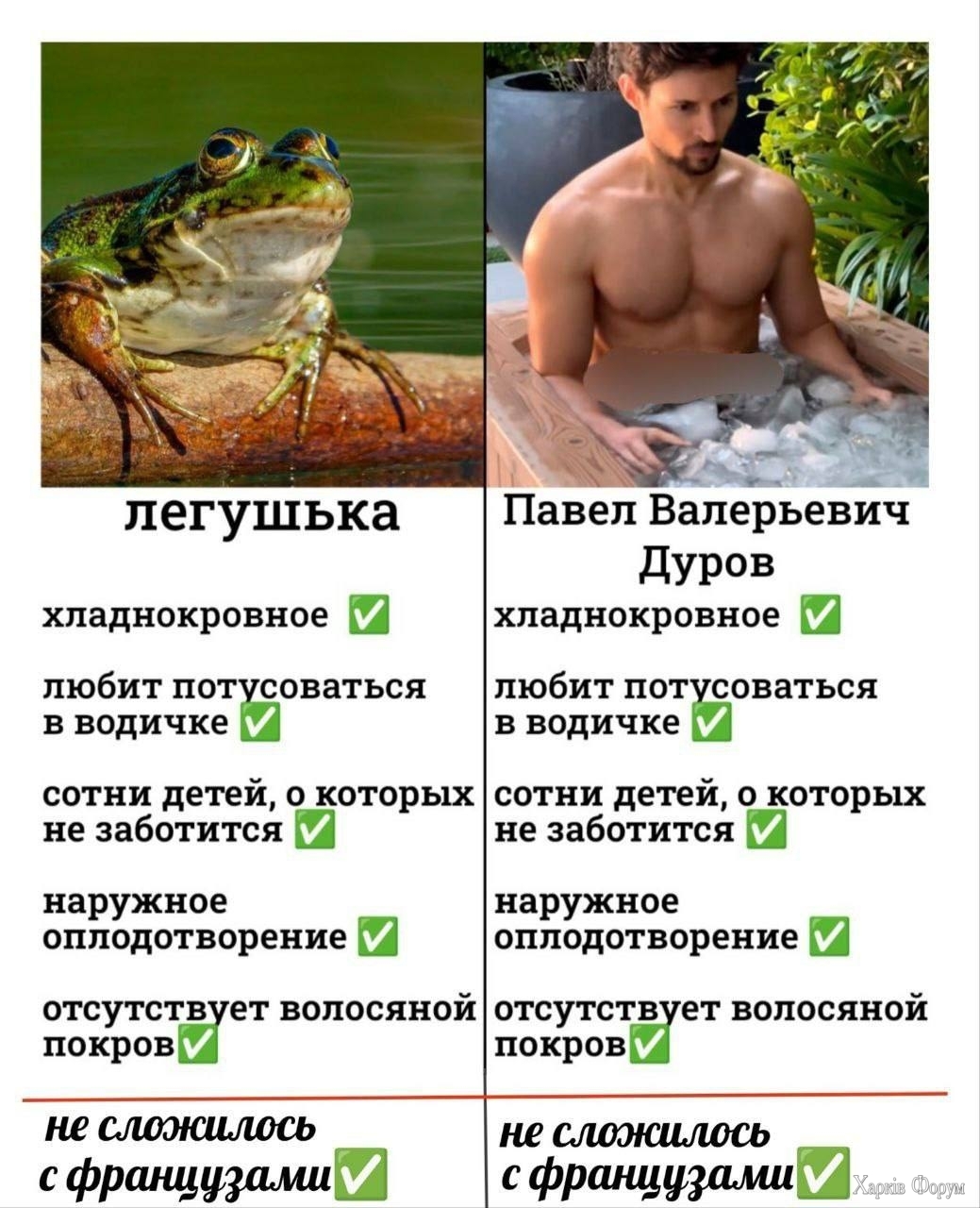 8569622.jpeg