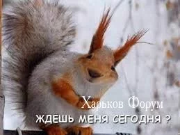 8575cd910415006be.webp
