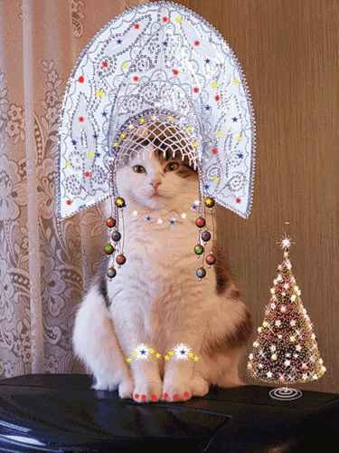 857ddcbd6c0c2e81a1dd434f877c34ac.gif