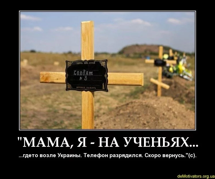 8595.webp