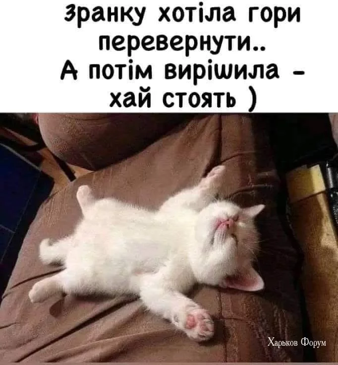 85b2c2379d7c829b92d.webp